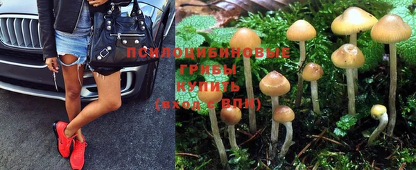 прущие крисы Новозыбков