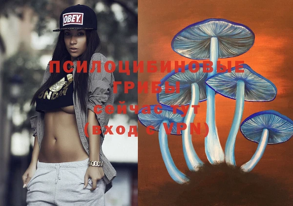 прущие грибы Абинск