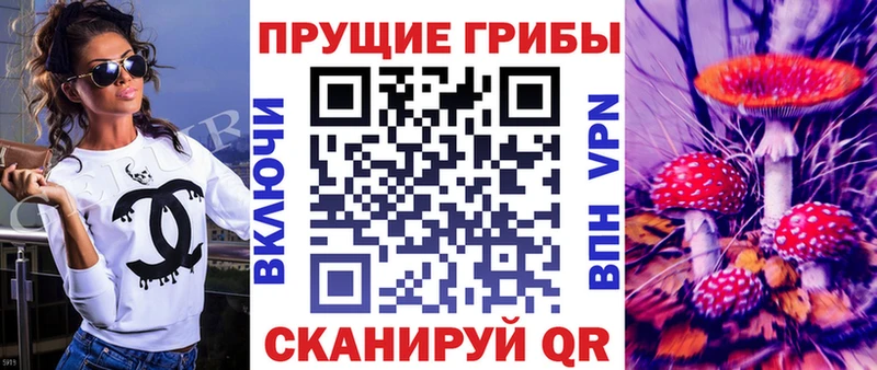 сайты даркнета наркотические препараты  Алатырь  Псилоцибиновые грибы ЛСД 